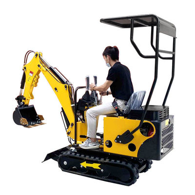 Energiesparender Mini Diesel Excavator 800kg 12hp mit kundengebundener Schutzhaube